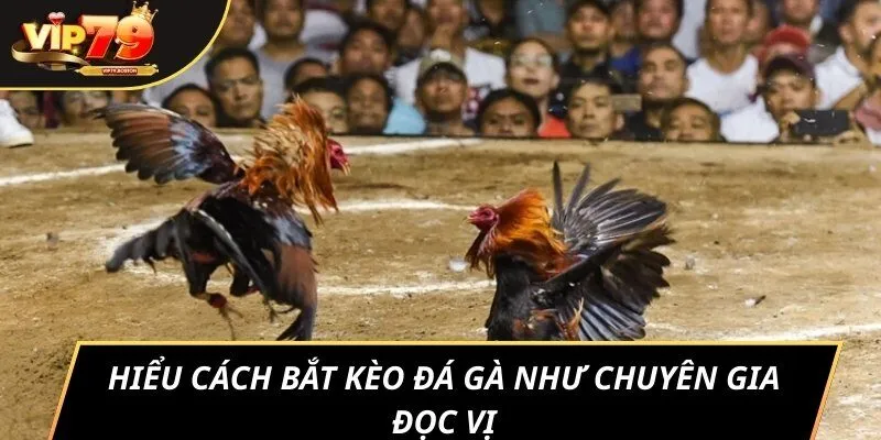 Hiểu cách bắt kèo đá gà như chuyên gia đọc vị