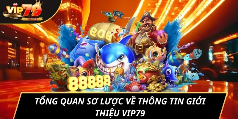 Tổng quan sơ lược về thông tin giới thiệu VIP79