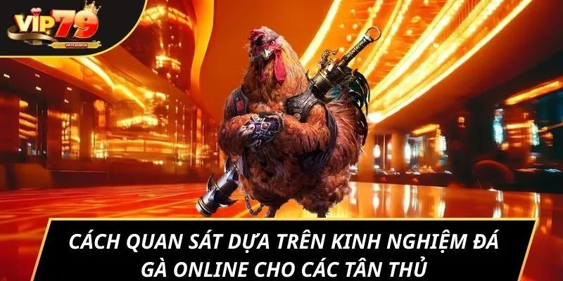 Cách quan sát dựa trên kinh nghiệm đá gà online cho các tân thủ