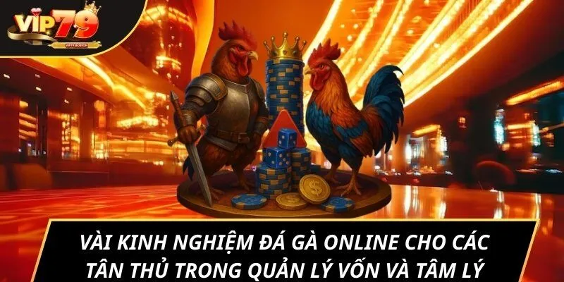 Vài kinh nghiệm đá gà online cho các tân thủ trong quản lý vốn và tâm lý